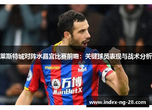 莱斯特城对阵水晶宫比赛前瞻:关键球员表现与战术分析 莱斯特城对阵水晶宫比赛前瞻:关键球员表现与战术分析