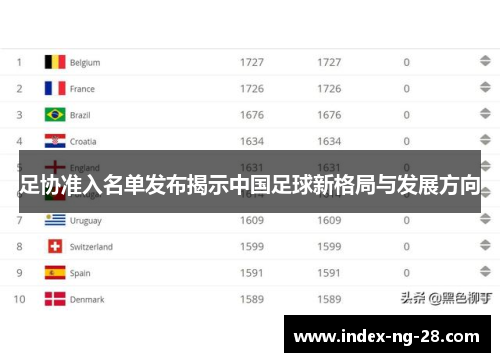 足协准入名单发布揭示中国足球新格局与发展方向 足协准入名单发布揭示中国足球新格局与发展方向